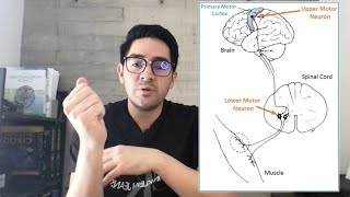 Fisiología de la contracción muscular [upl. by Cohen]