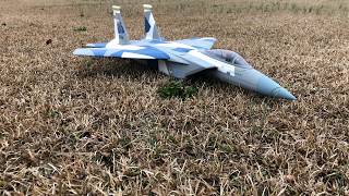 EFlite F15 terrible motor sound fix [upl. by Killen251]