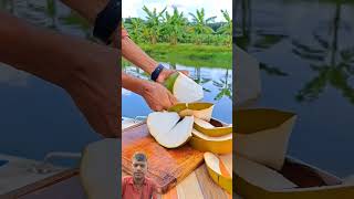 Coconut fruit cutting coconut food fruit oddlysatisfying satisfying [upl. by Anaic]