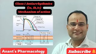 Class I Antiarrhythmics Use dependent blockadeIa Ib Ic [upl. by Drahsar]