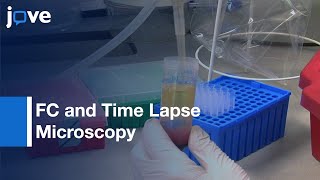 FC and Time Lapse Microscopy to Study the Interactions of Pathogens  Protocol Preview [upl. by Abdella701]