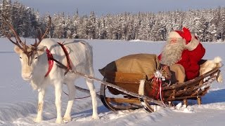 Les meilleurs messages du Père Noël aux enfants 😍🎅 vidéo Papa Noël à Rovaniemi en Laponie Finlande [upl. by Einahpehs]