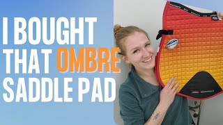 I Bought That Ombre Saddle Pad So You Dont Have To l Weatherbeeta Saddle Pad Review [upl. by Zoi956]