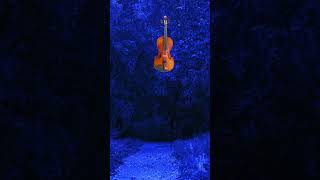 Violin music for sleeping and deep relaxation violin [upl. by Eentihw253]