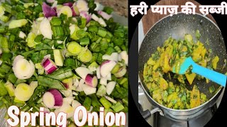 आज दिन के खाने में बनाएं हरी प्याज की सब्जी  Spring Onion Recipe [upl. by Janith]