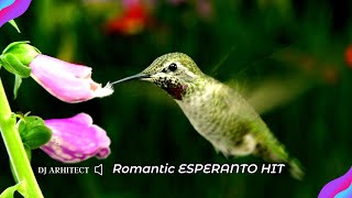 Dj Arhitect  O Melodie Foarte Frumoasa Romantic ESPERANTO HIT [upl. by Auqemahs]