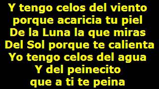 GITANA  Willie Colon LETRA [upl. by Anoet]