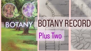 BOTANY RECORD CLASS 12 [upl. by Mathre]