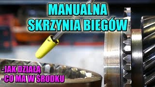 MANUALNA SKRZYNIA BIEGÓW JAK JEST ZBUDOWANA JAK DZIAŁA I CO W NIEJ SIĘ PSUJE [upl. by Wertz]