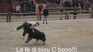 AiguesMortes ▶course au plan  manade Chaballier◀ 07102024 [upl. by Lalad]