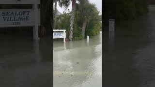 sanibelisland recommended viralvideo hurricanehelene Sanibel Island neighborhood flooding [upl. by Sinnel]