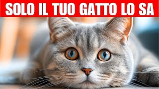 11 segreti che il tuo gatto sa di te  I gatti sanno tutto [upl. by Nahama]