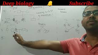 Pedigree probability problems  CSIR NET life science  Deep biology  Autosomal recessive inheritan [upl. by Sadler]