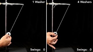 Heres a Question  Swinging Pendulums Different Masses [upl. by Edahsalof]