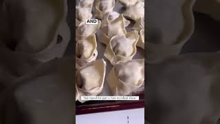 Make your own potstickers [upl. by Hermine]