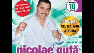 Nicolae Guta  Straine straine Audio oficial [upl. by Raquela]