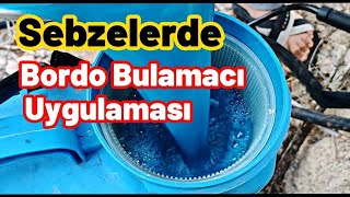 Sebzelerdeki hastalıkları bu uygulama ile durdurduk  Bordo bulamacı uygulaması [upl. by Elegna]