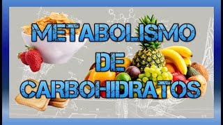 Metabolismo de carbohidratos BIOQUÍMICA [upl. by Anyotal89]