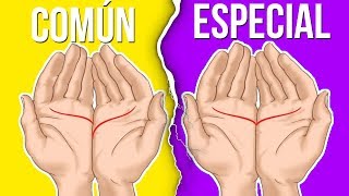 7 Cosas Que LAS PALMAS DE TUS MANOS Dicen Sobre Ti [upl. by Etteloc]