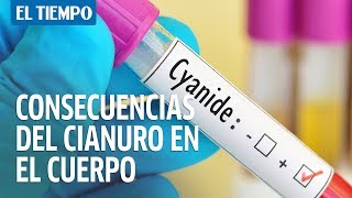 ¿Por qué el cianuro es tan peligroso para el cuerpo humano  El Tiempo [upl. by Marwin]