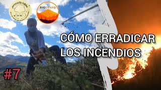 Cómo ERRADICAR los INCENDIOS en nuestros MONTES  Corazón siempre al Norte 7 [upl. by Acihsay960]