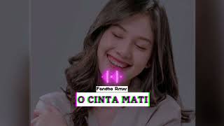 Sweety O Cinta Mati  Fandho Remix  Remix Terbaru 2023 [upl. by Landa74]