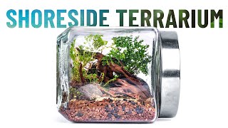 Shoreside Terrarium  ASMR  Satisfying and relaxing build natural terrarium building [upl. by Wasson]