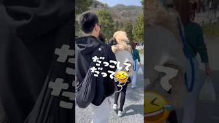 京都🍵 嵐山🐶 渡月橋🐑 だっこして🐕‍🦺 part5 shorts [upl. by Leahcimrej]