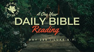 Day 299  Daily Bible Reading  Jesus Shows Great Kindness  Luke 67 [upl. by Nnanaej]