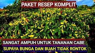 RESEP RAHASIA UNTUK TANAMAN CABE SUPAYA SUBUR DAN BERBUAH LEBAT [upl. by Florian]