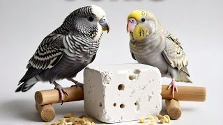 Calcium block for budgies and other birds [upl. by Fergus]