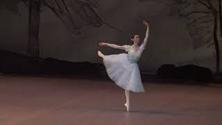 Ekaterina Krysanova in ballet Giselle [upl. by Nelra]