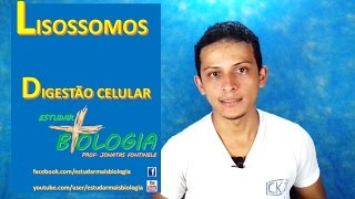 Lisossomos  Digestão Celular Prof Jonatas Fontinele [upl. by Elston577]