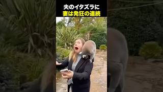 よく離婚しないで済んでるねw海外の反応 海外のリアクション 外国人 おもしろ動画 爆笑動画 笑える バズった動画 癖が強い shorts ドッキリ [upl. by Olrak]