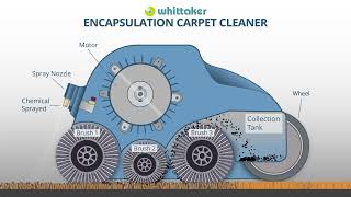 Whittaker Smart Care® TRIO Carpet Cleaning System [upl. by Nylicaj]