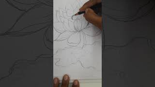 Lotus Sketch  Step by Step [upl. by Toll]