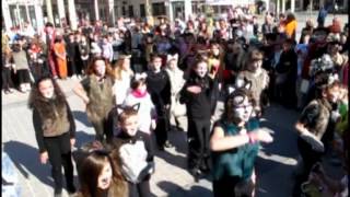 Carnaval et flash mob à lécole SaintPierre de Châteauroux [upl. by Kynthia]