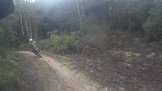 TAZTRAX Off Road Motorcycle tours Tasmania [upl. by Borman]