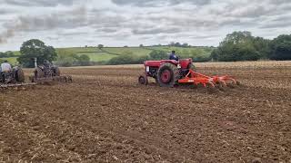 Massey Ferguson and 2 Fordson Majors cultivating [upl. by Nolubez]