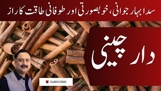 Dar Cheeni Cinnamon Ke Fawaid دار چینی کے فوائد [upl. by Dyraj]