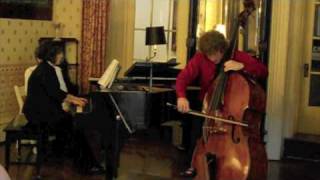 Vanhal  Concerto for Double Bass in D [upl. by Venu692]