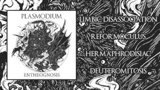 Plasmodium  Entheognosis 2016 Full Album [upl. by Ecinej]