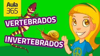 Animales Vertebrados e Invertebrados Parte 1  Videos Educativos Aula365 [upl. by Hebe442]