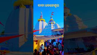 କଳା ବଳଦ କୁ ଧଳା କରିଦେଲେ Baba Dhabaleswar mahadevmahakalshivshortsyoutubeshorts [upl. by Aisatal]