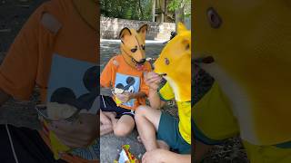 The father dog competes with the puppy for food and the end result🤣dogshorts dog viral shorts [upl. by Snej92]