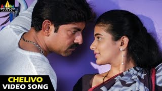 Pellaina Kothalo Songs  Chelivo Na Video Song  Jagapathi Babu Priyamani  Sri Balaji Video [upl. by Rizas]