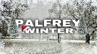 PALFREY BUT IN WINTER [upl. by Moreta]