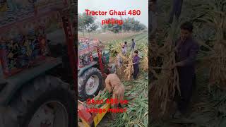 GHAZI 480 TRACTOR PULLING SHORTVIRALVIDEO TRACTORPULLING [upl. by Iveksarap717]