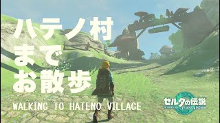 ハイラルサンポ Hyrule Sanpo ハテノ村までのんびりお散歩 [upl. by Aisatsan]