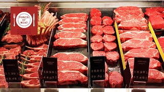 ‘Power of Meat Study Explores its Role in Today’s Food World [upl. by Esylle489]